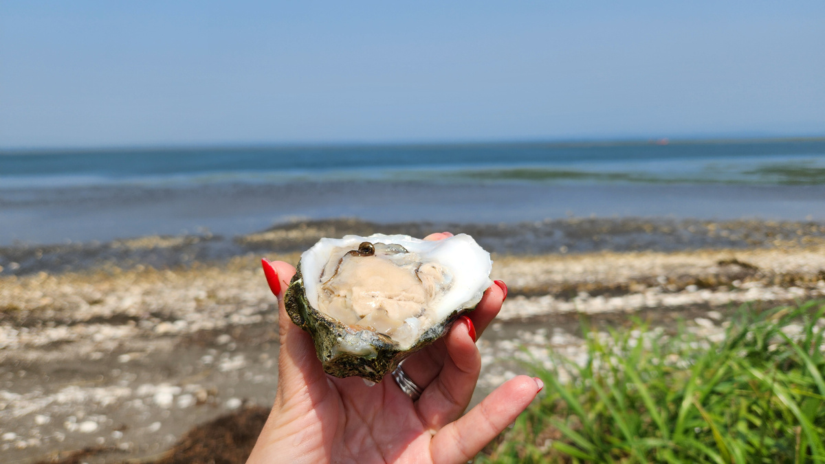 Отдых миллионера: море, остров и только что выловленные морепродукты. Это Сахалин   