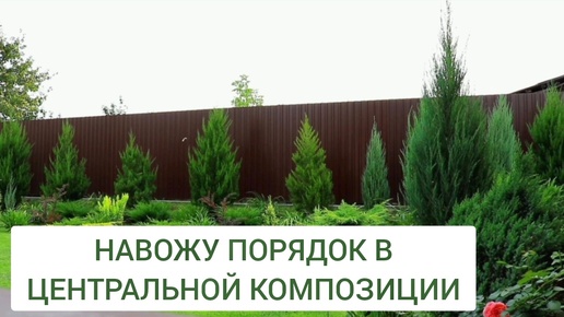 НАВОЖУ ПОРЯДОК В ЦЕНТРАЛЬНОЙ КОМПОЗИЦИИ. 1.09.2024г. БЕЛАРУСЬ, ГОМЕЛЬСКАЯ ОБЛАСТЬ