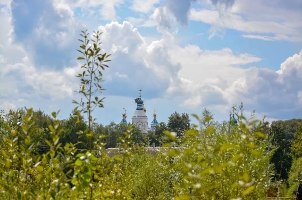    Со 2 по 4 сентября в Тульской области ожидается 5 класс пожарной опасности