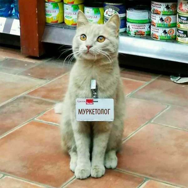 Тот, кто поможет вам найти клиентов на любую услугу