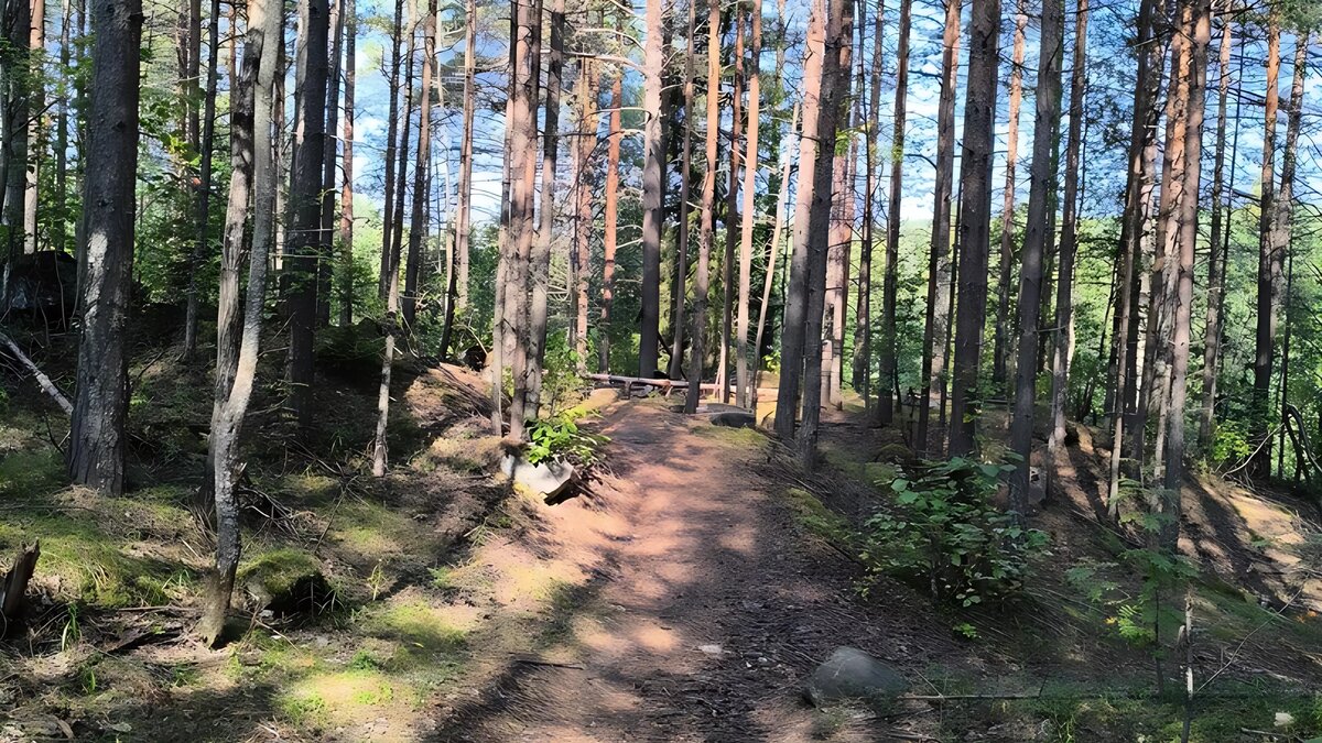     Источник: Питкяранта. ДПСО «Длинный Берег»