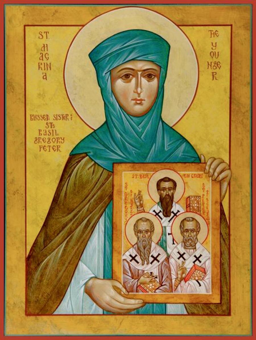 фото с сайта https://ortox.ru/