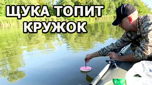 Щука топит кружок, пока я ловлю плотву.