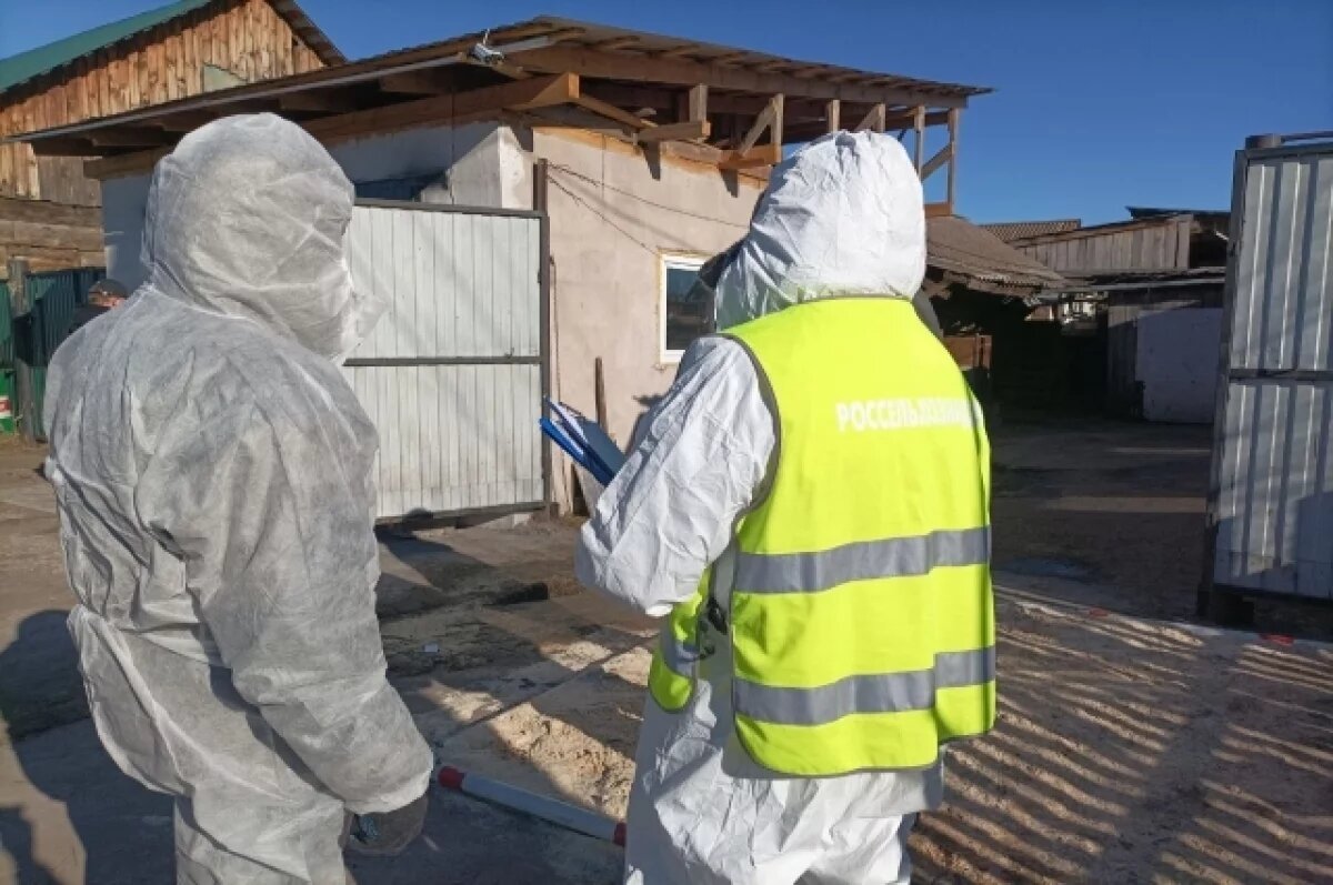    В Астраханской области нашли опасное поле