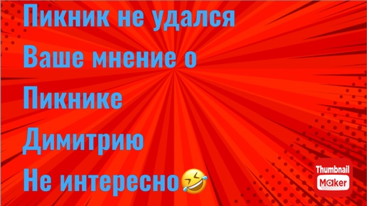 Всё в кучу. Пикник не удался. Ваше мнение о пикнике Димитрию не интересно