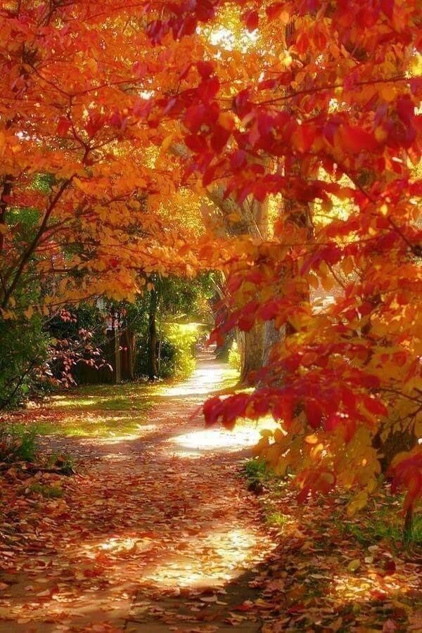 Фото из открытых источников сети Интернет