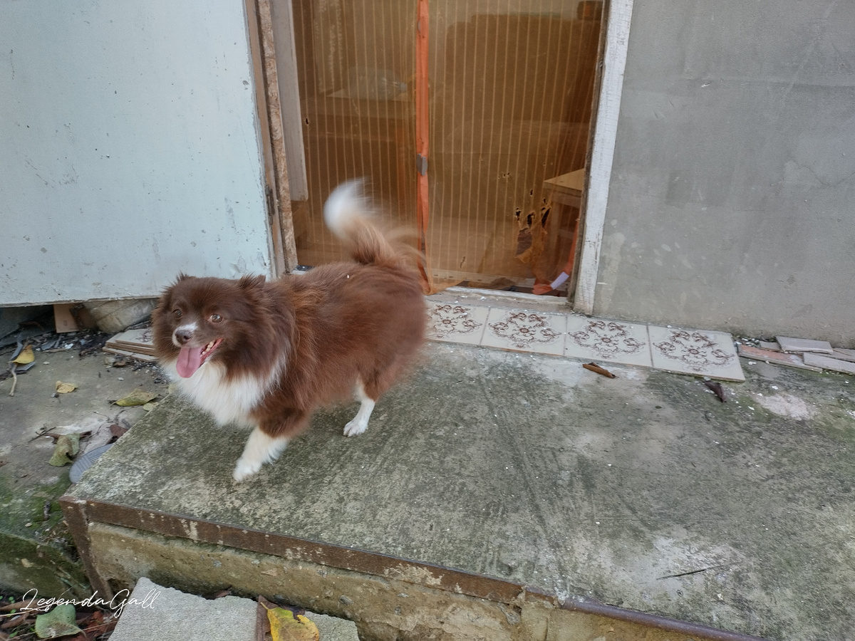 Мама, ну поехали уже домой!