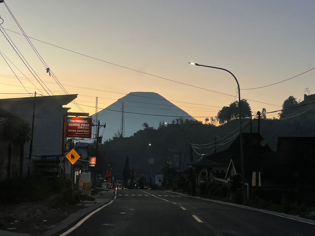 Добавьте описание