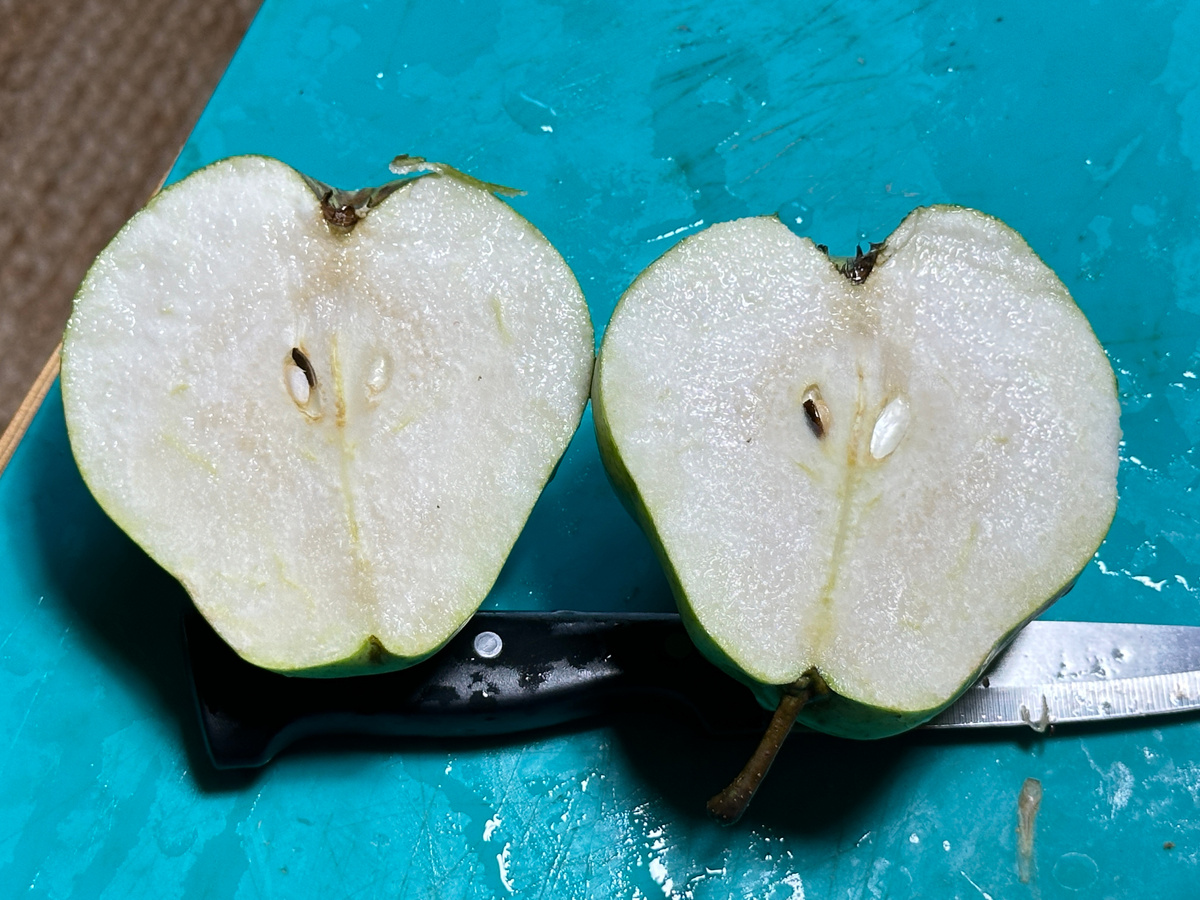 Россошанская: вид изнутри.