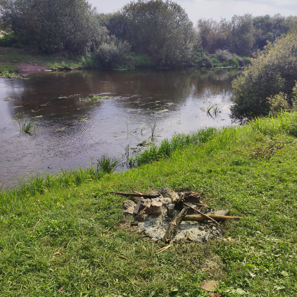 На берегу реки