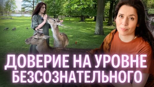 В чем разница между НЛП-практиком и НЛП-мастером Как перейти на новый уровень