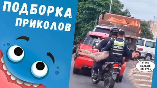 Смешная подборка приколов🤣 выпуск от 01 сентября 2024 (юмор, приколы)