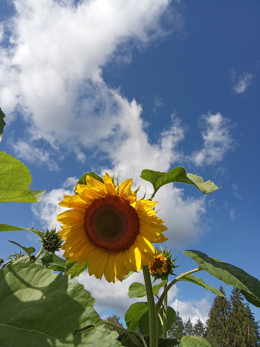До свидания, мое лето) и спасибо за теплые воспоминания...