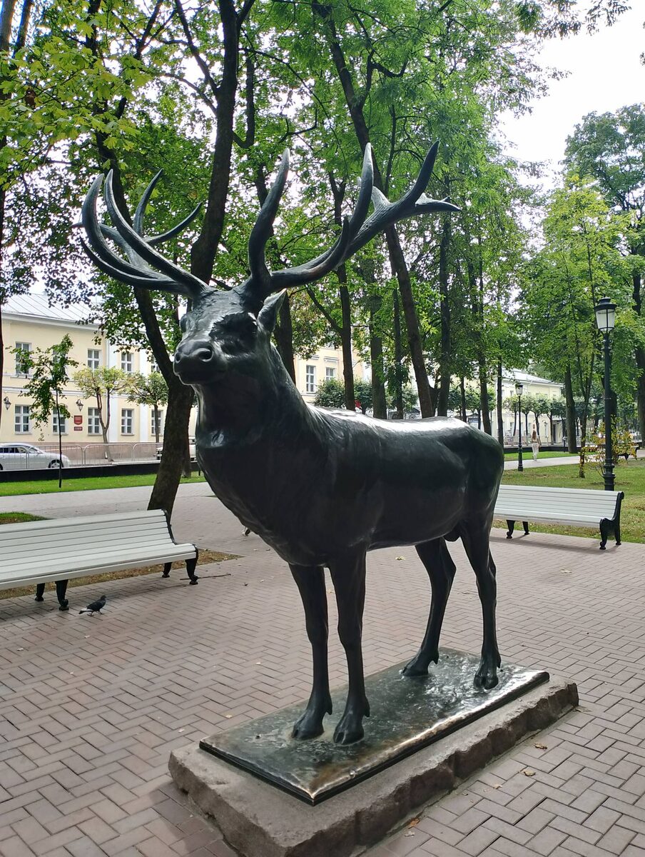 Смена точки зрения помогает лучше уловить суть явления. Если вам не понравился вид оленя сзади - то вот вид сбоку, почти анфас.