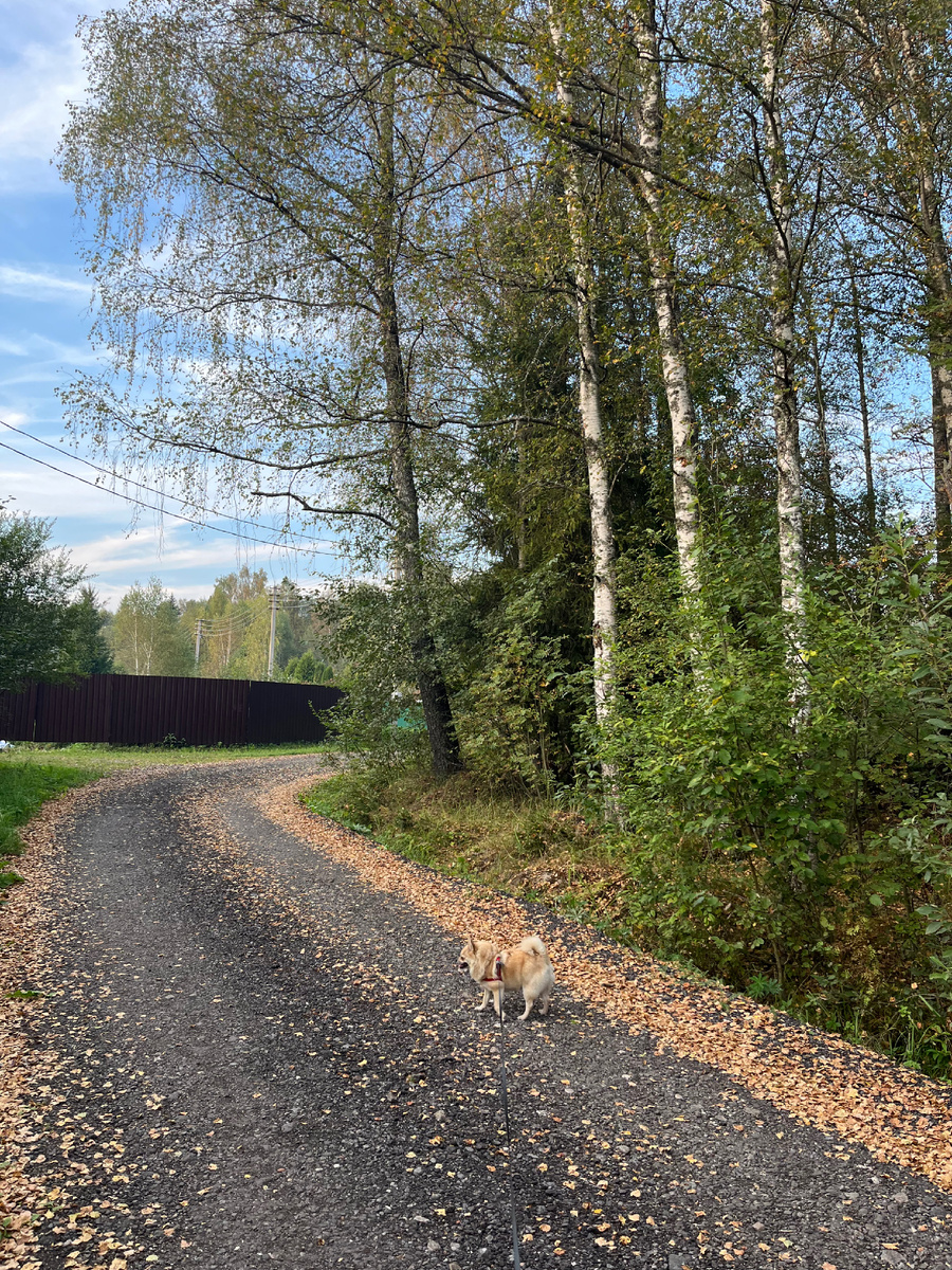 Фото автора. 