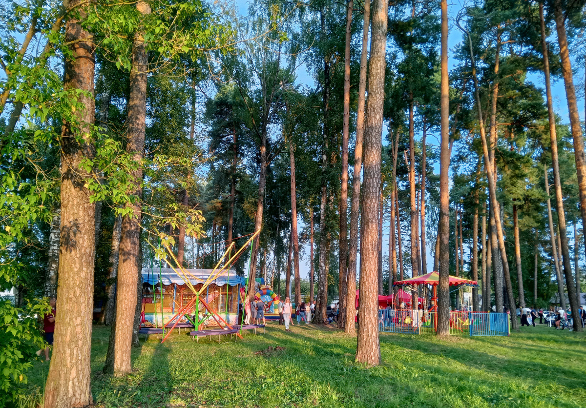 Фото автора.