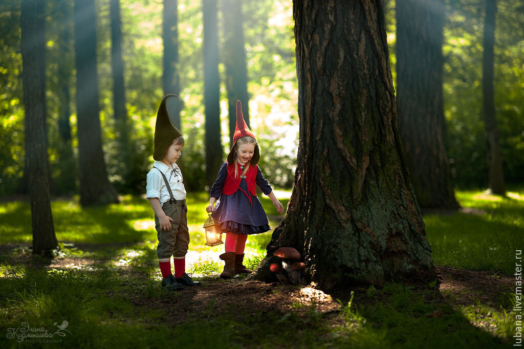 дети гномики