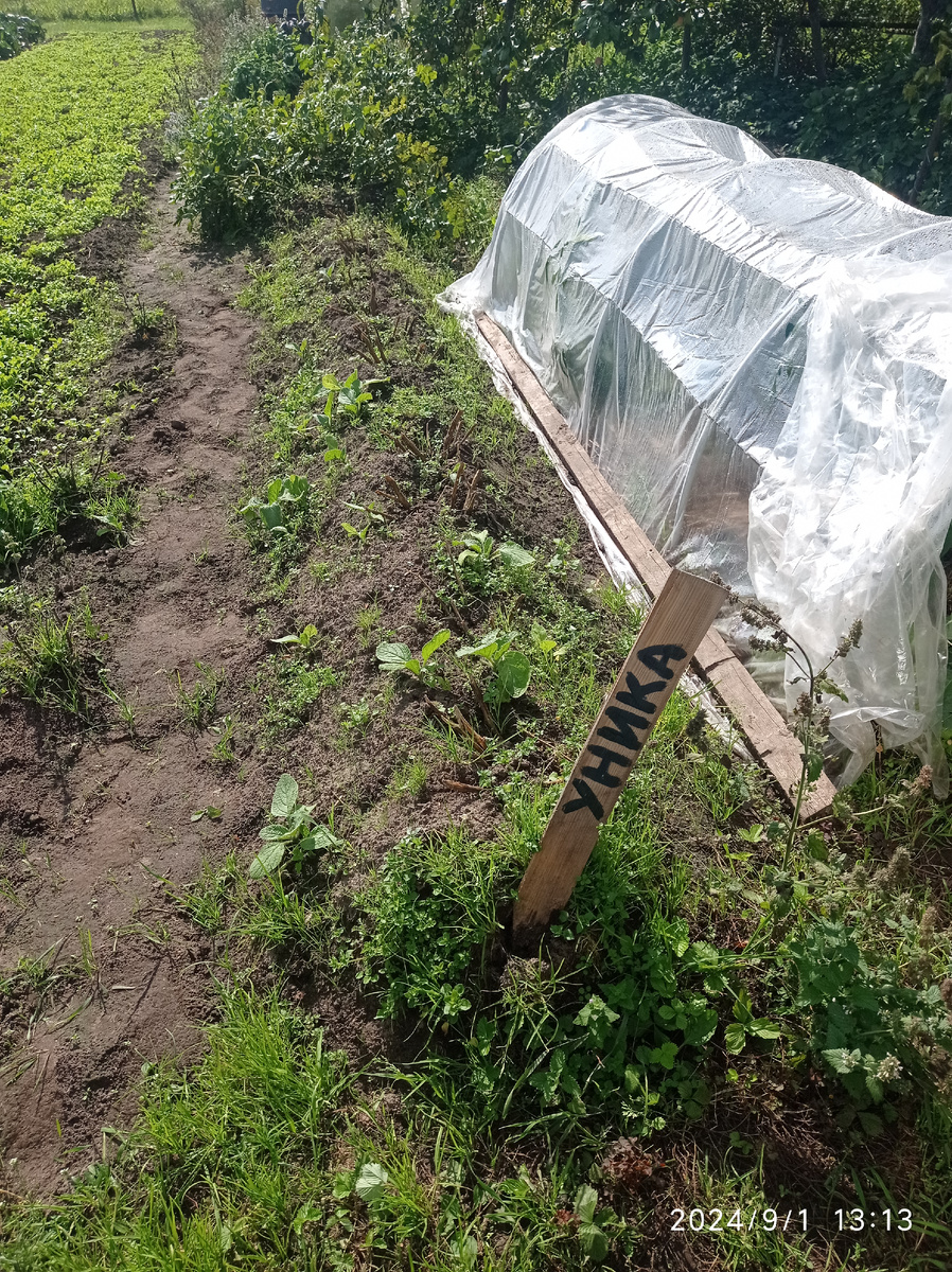 Перед началом копки