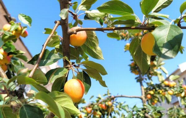    Фото: Екатерина Иванова. UG.RU