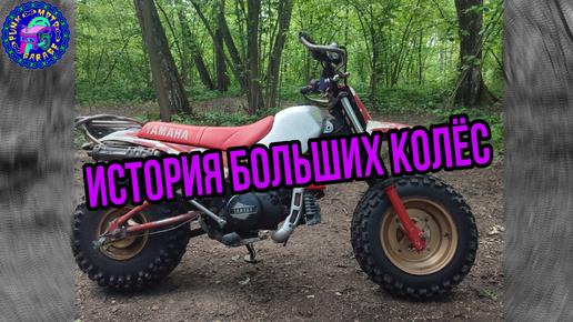 ЕДИНСТВЕННЫЙ ОБЗОР в РОССИИ Yamaha BW 80 BIG WHELL