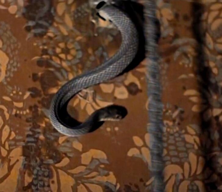    Фото: кадр из фильма «Шерлок Холмс и доктор Ватсон»