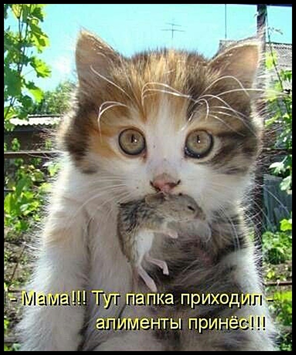 Спасибо всевышнему за все цитаты. Млодик цитаты. Он дал мне жизнь. Жизнь дает шанс. Каждый человек живет в своем мире.