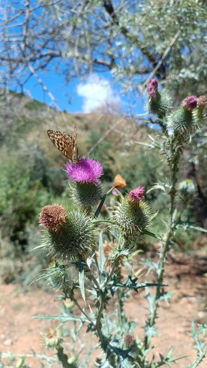 Фото от Риты