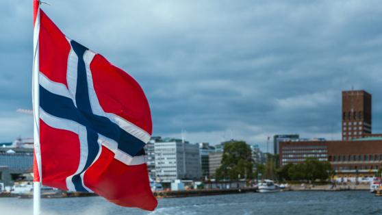    В Норвегии найден мертвым кит, которого считали "русским разведчиком" Сергей Бунеев