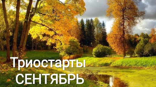 Триостарты сентябрь. Первый старт. Зима не за горами.