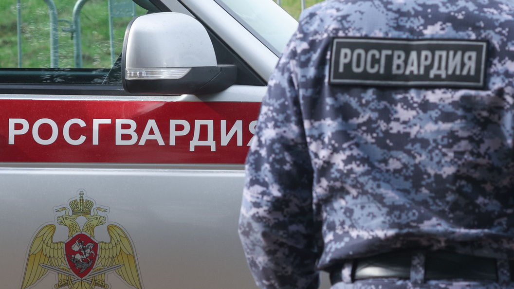    Фото: Petrov Sergey/news.ru/Globallookpress