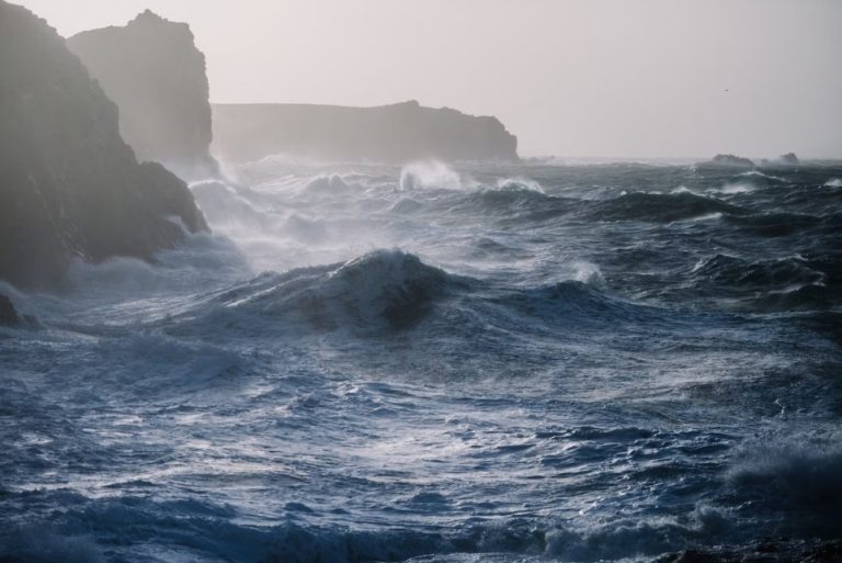    Фото: freepik.com/ wirestock Анфиса Слепцова