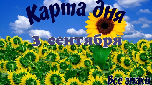 Карта дня🍀3 сентября 2024🌞Пасьянс.Тайм-код в описании🦢