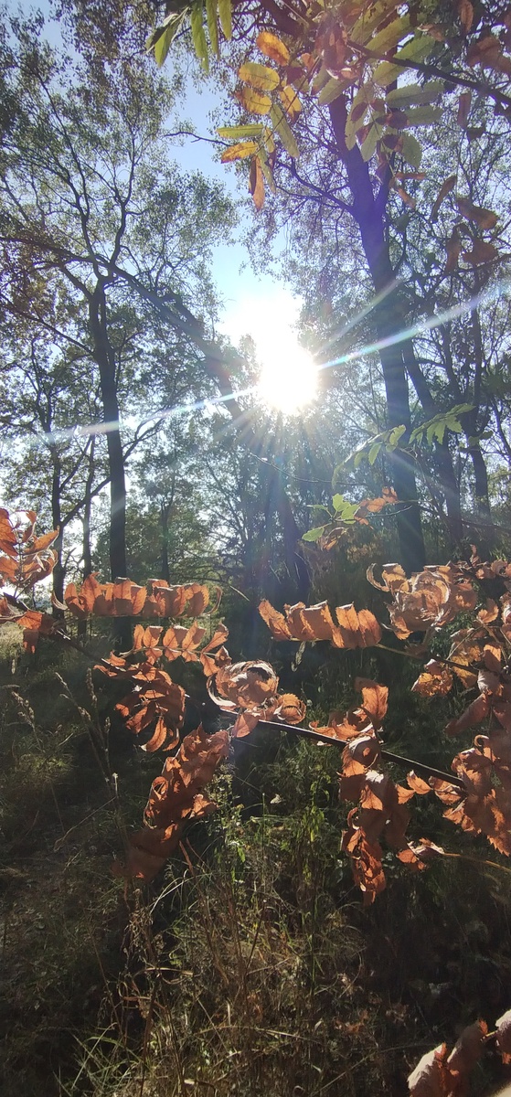 Личное фото