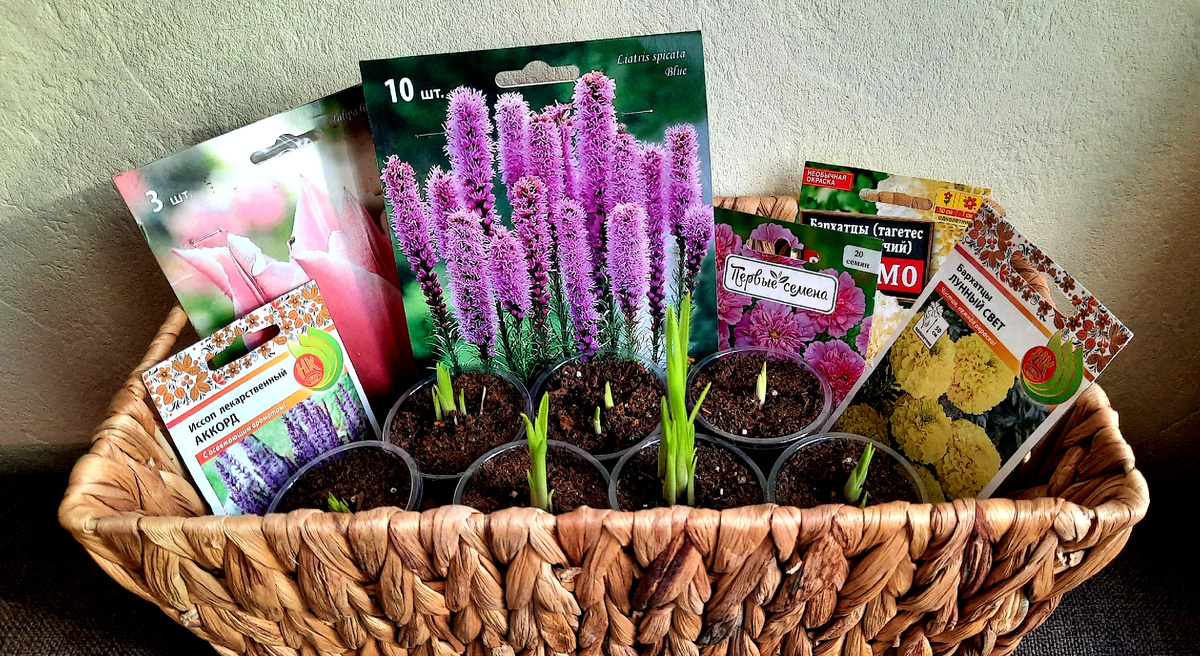 Мои весенние надежды.