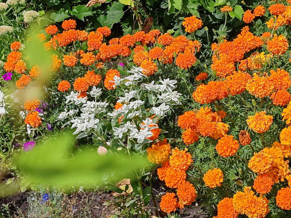 Фото автора канала. 