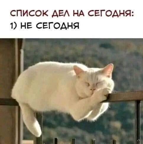 :) как у нас со школой прямо