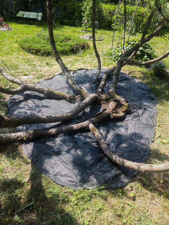 Застилка агротканью и закрепление ее металлическими скобами.