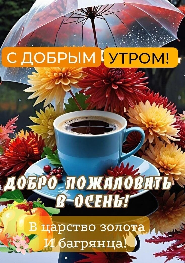 Картинка из открытых источников