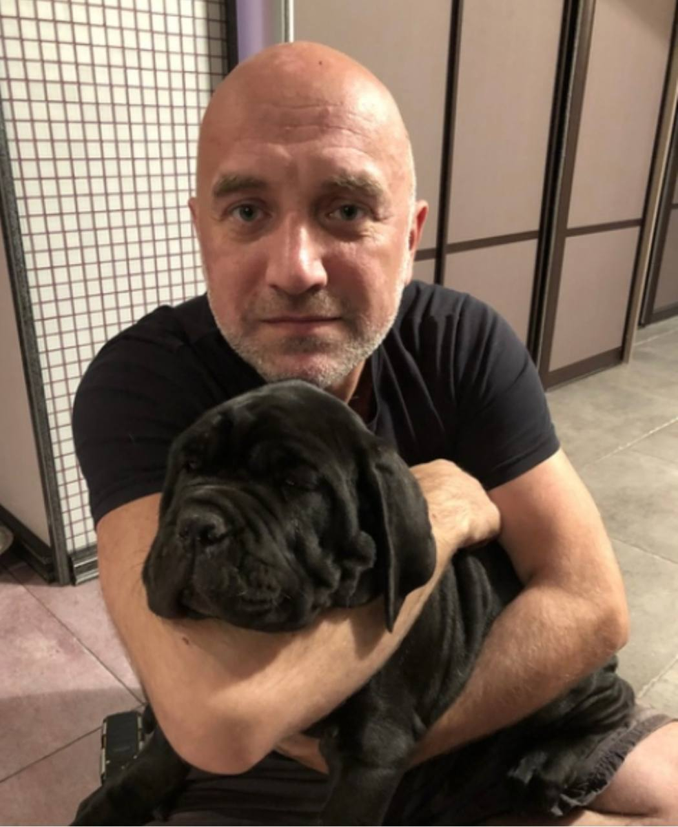 Мастино неаполитано Нигга. Совсем малыш тут. Он был невероятно хорош собой.