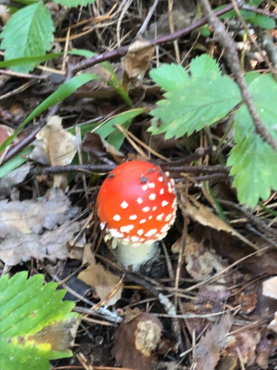 Фото моих друзей