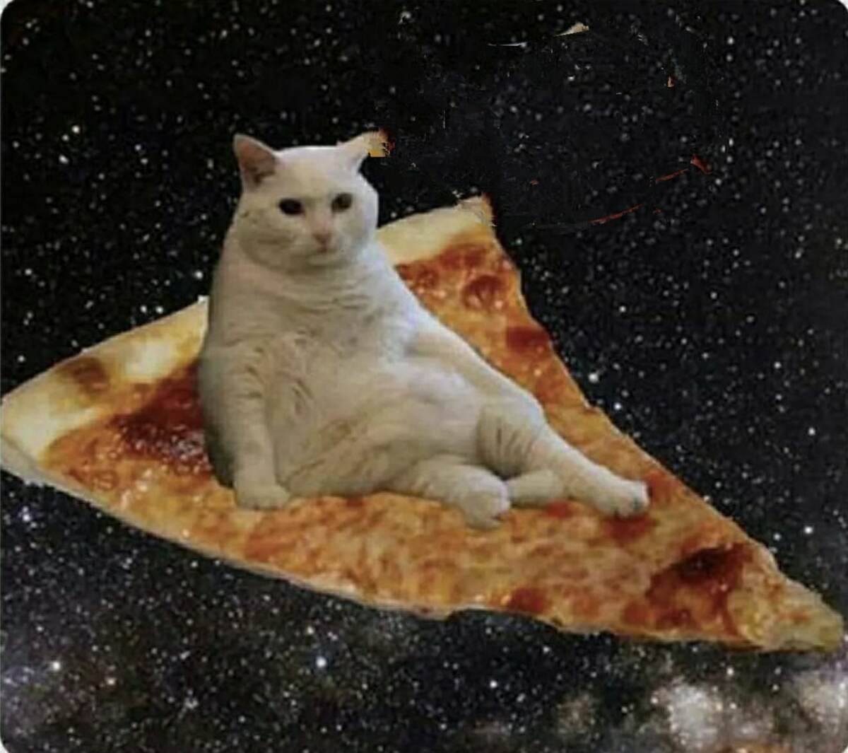 Ну что, полетели смотреть звезды?