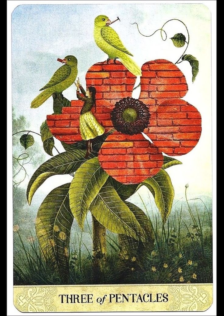 #таро #таролог