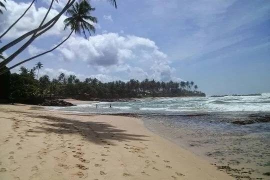    Подростка из России и его друга задержали на Шри-Ланке из-за ловли ящериц