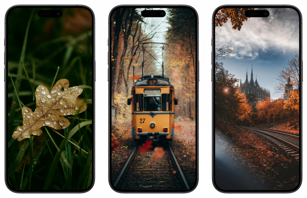    Обои на телефон