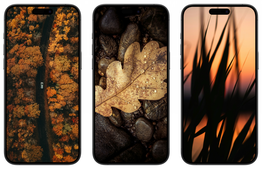    Обои на телефон