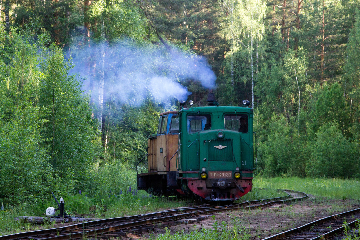 Тепловозы ТУ4-2620 и ТУ6А-2172 на маневрах по станции Центральный Поселок. Пищальское ТПР - подразделение "ВяткаТорф". Июнь 2024 года