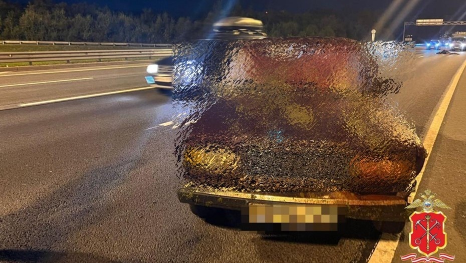    Автор фото: ГУ МВД по Санкт-Петербургу и Ленинградской области