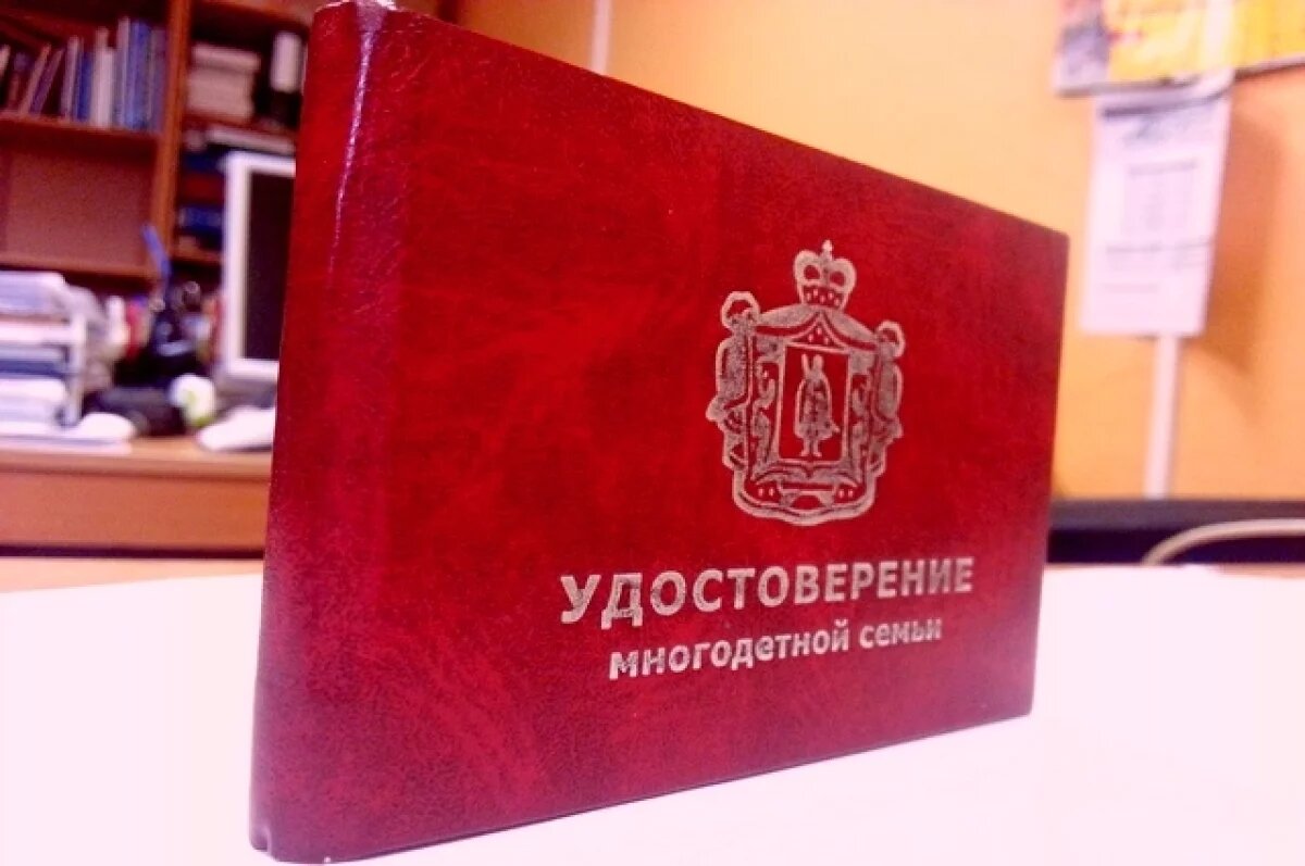    В Мурманской области утвердили порядок выдачи удостоверений многодетным