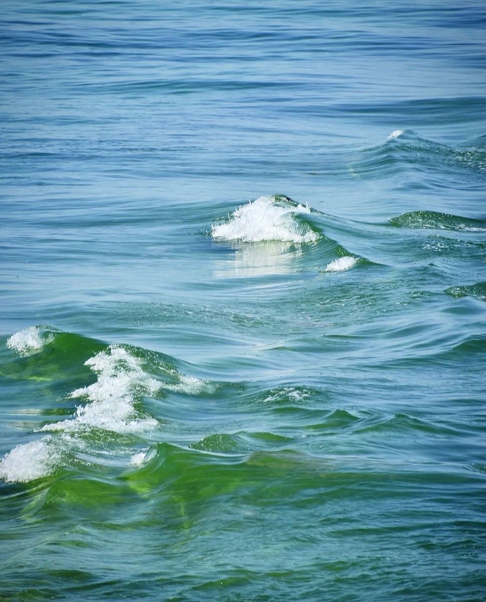 Атлантические воды французского побережья имеют выраженный зелёный цвет 
