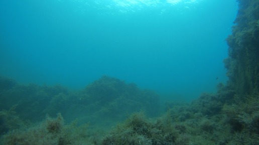 Первые дни осени в Черном море.